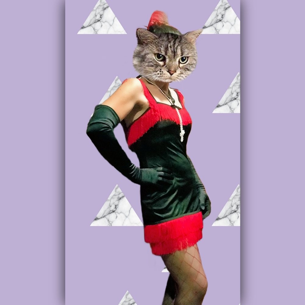 Lip Service Roaring Flapper 2pc Costume